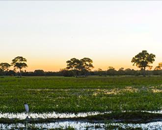 Pantanal Conservation Area (Brazil)